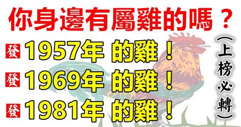 1981屬雞一生運|【1981 雞 五行】1981年出生的屬雞人命運解析：五行、命格與運。